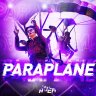 Paraplane - 副翼
